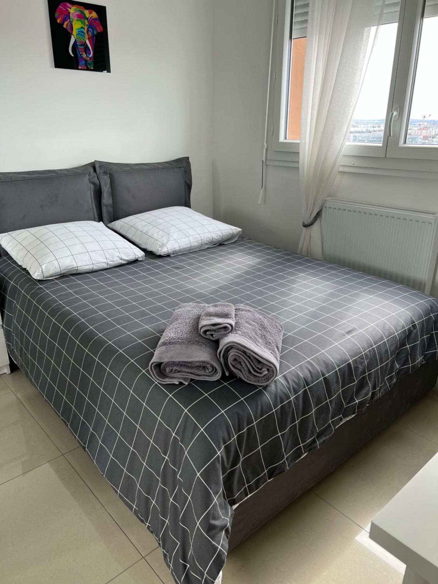 Appartement Super 4 Pieces Refait A Neuf à Villeurbanne Extérieur photo